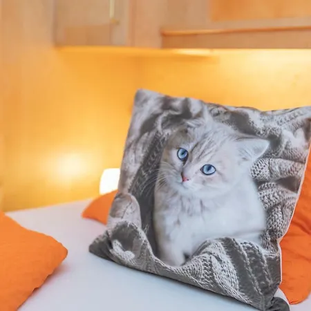 Bauernhof Katin 팜스테이